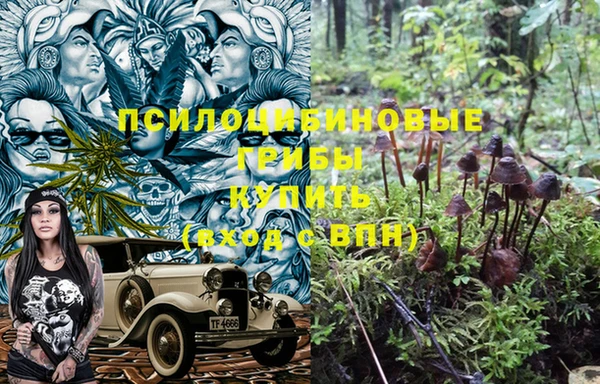 молекула духа Покачи