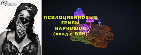 ECSTASY Покровск
