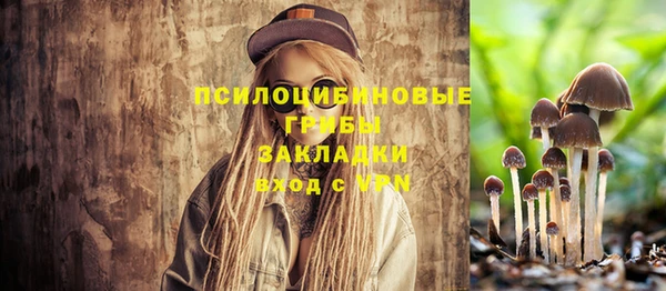 прущая мука Покров