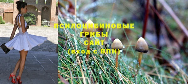 ECSTASY Покровск