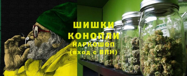 молекула духа Покачи