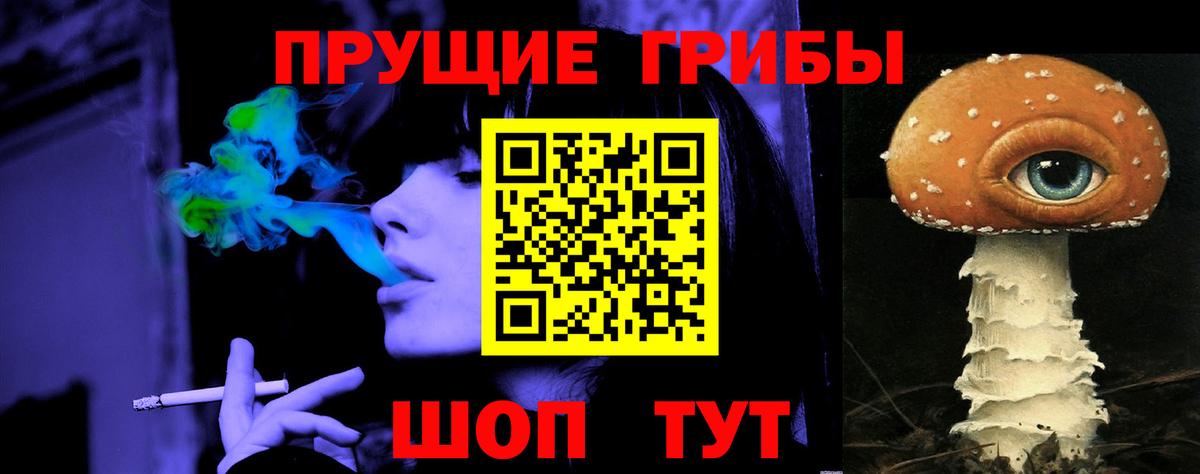 как найти наркотики  Псилоцибиновые грибы MAGIC MUSHROOMS  Вход с VPN  Урус-Мартан 