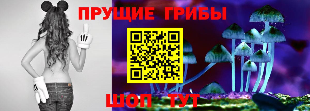 Галлюциногенные грибы Magic Shrooms Урус-Мартан